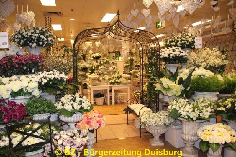 BZDuisburg Fotostrecke Knüllermarkt Lokal Bürger Zeitung